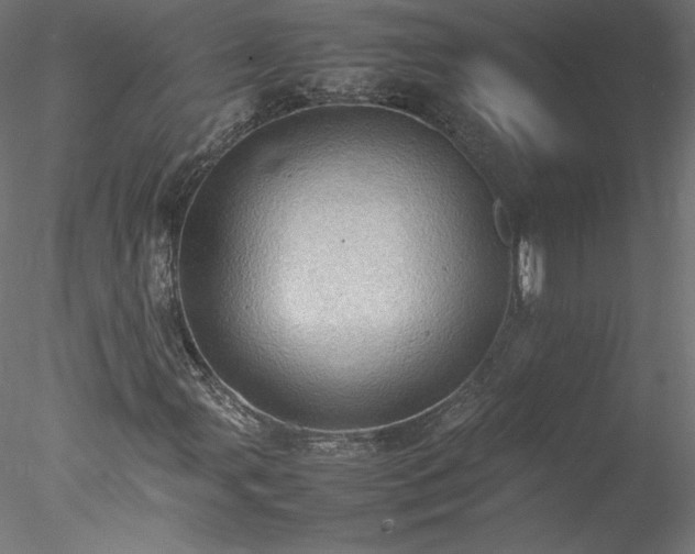 X0000078021107200611031449