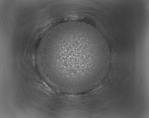 X0000078021109200611031449