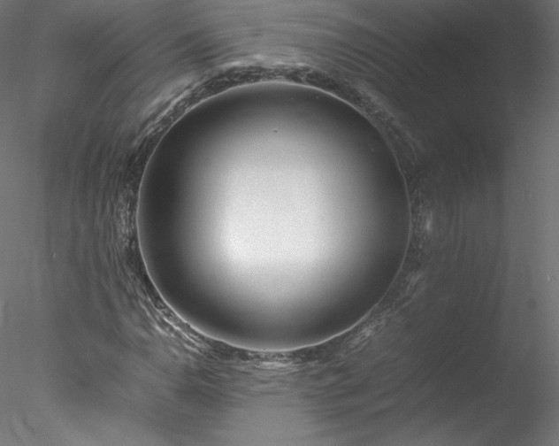 X0000078021110200611031449