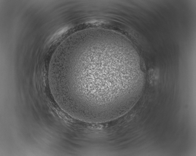 X0000078021111200611031449