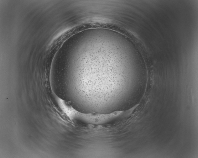 X0000078021112200611031449