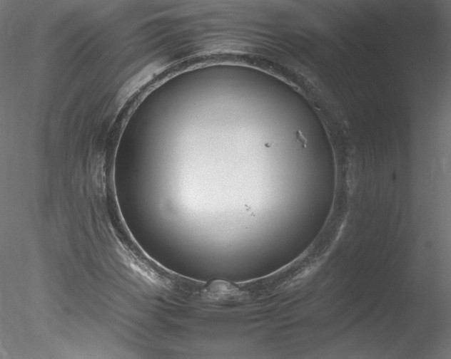 X0000078021113200611031449