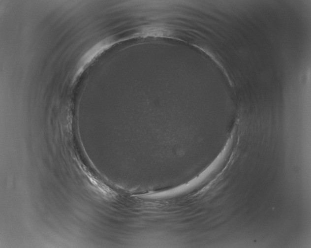 X0000078021115200611031449