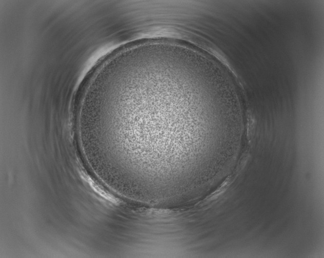 X0000078021116200611031449