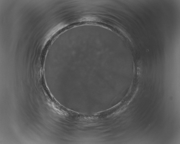 X0000078021117200611031449