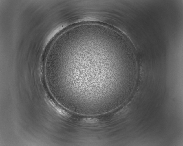 X0000078021119200611031449