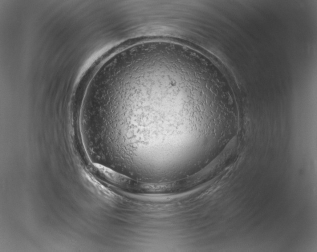 X0000078021120200611031449