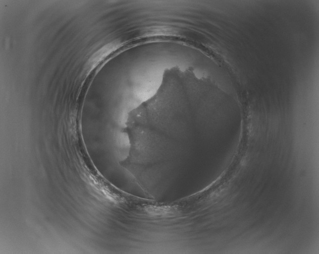 X0000078021121200611031449