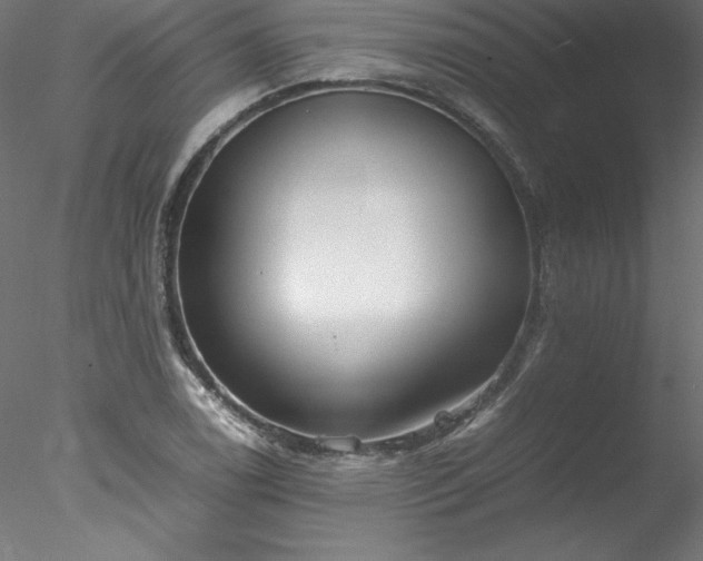 X0000078021122200611031449