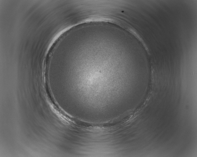 X0000078021124200611031449