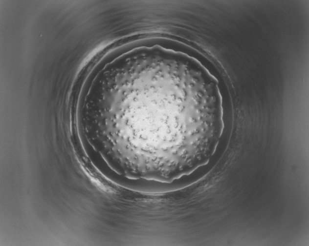 X0000078021127200611031449