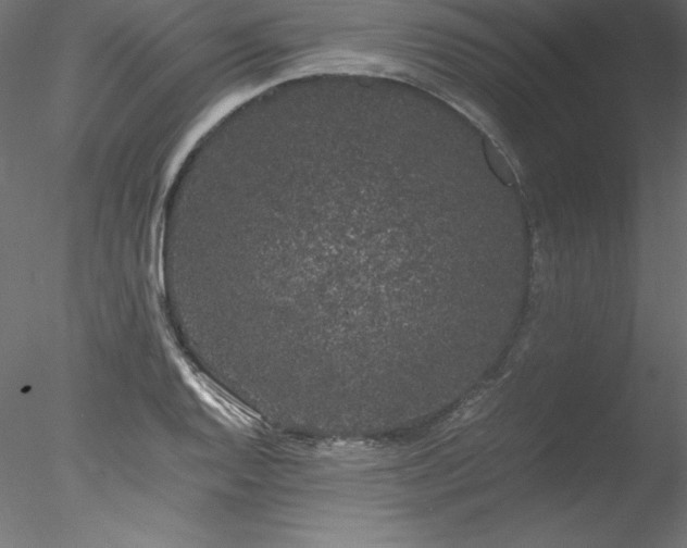 X0000078021128200611031449