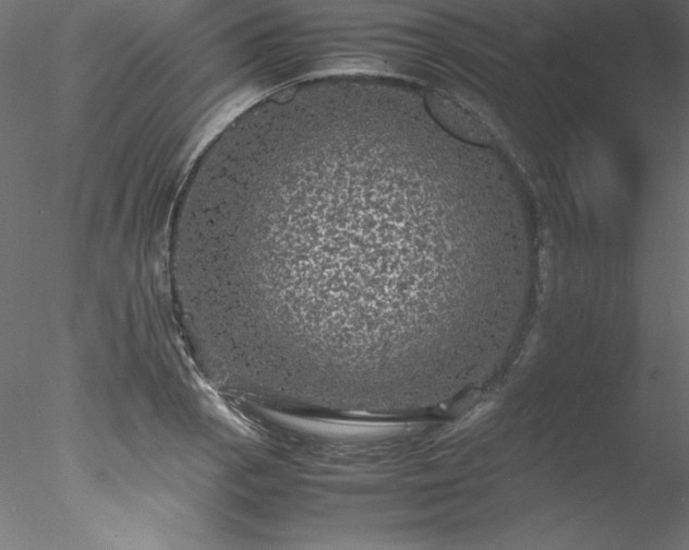 X0000078021129200611031449