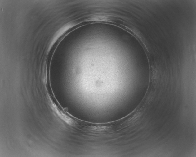 X0000078021131200611031449