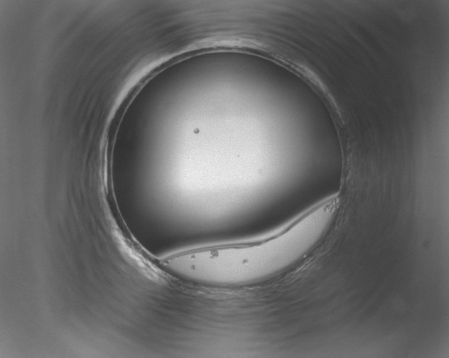 X0000078021132200611031449