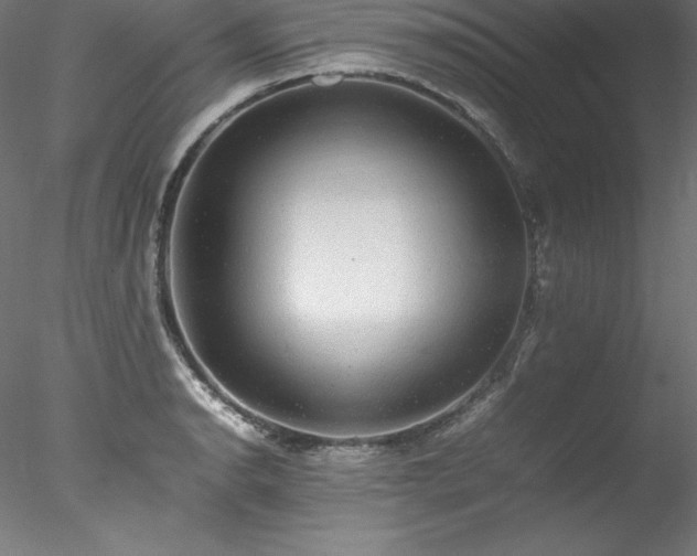 X0000078021134200611031449