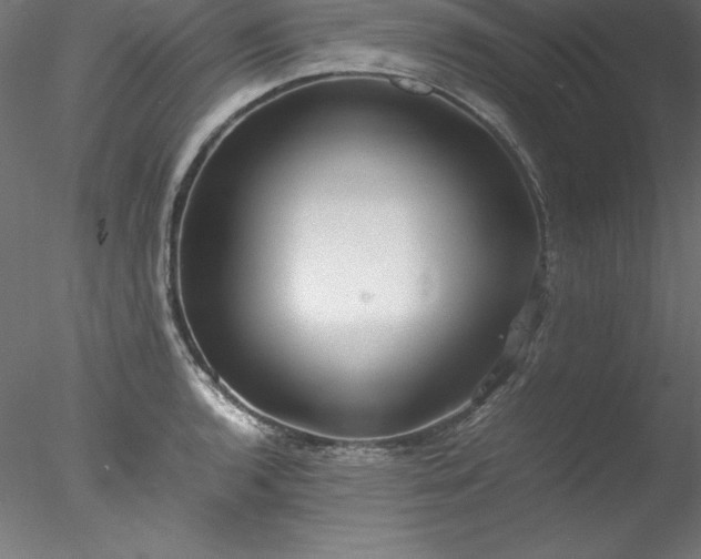 X0000078021136200611031449