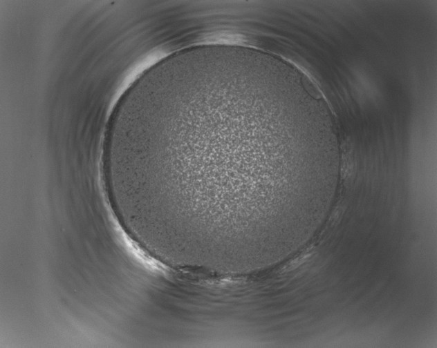 X0000078021139200611031449