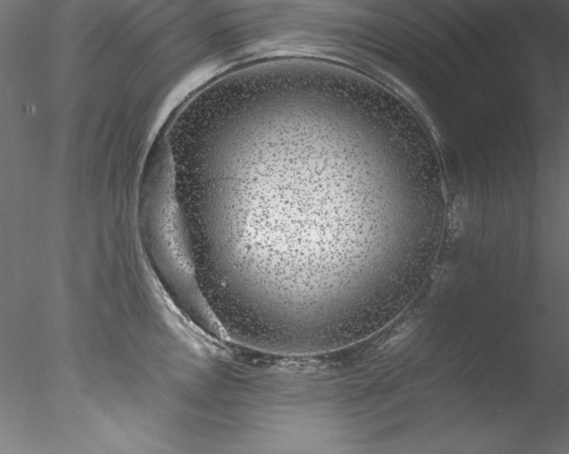 X0000078021146200611031449