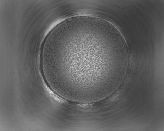 X0000078021147200611031449