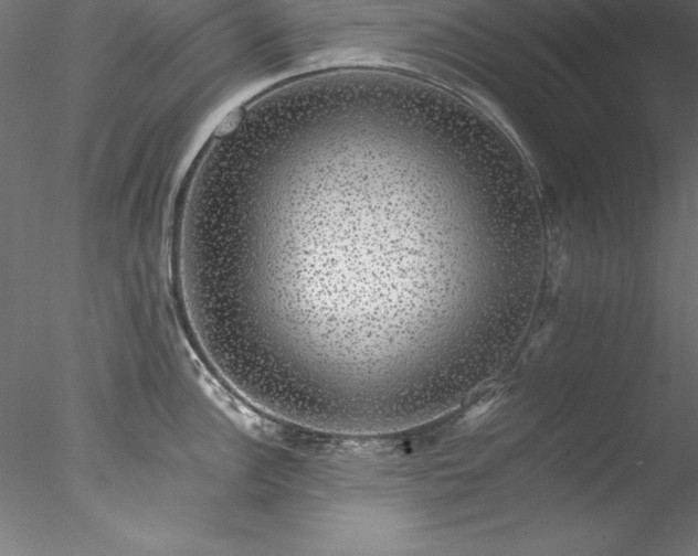 X0000078021148200611031449