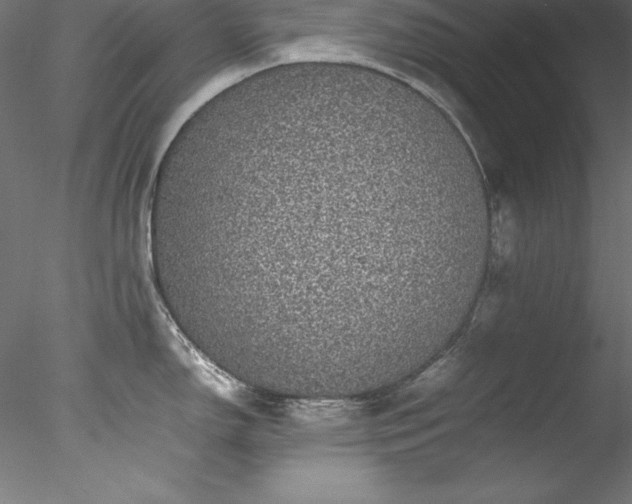 X0000078021150200611031449