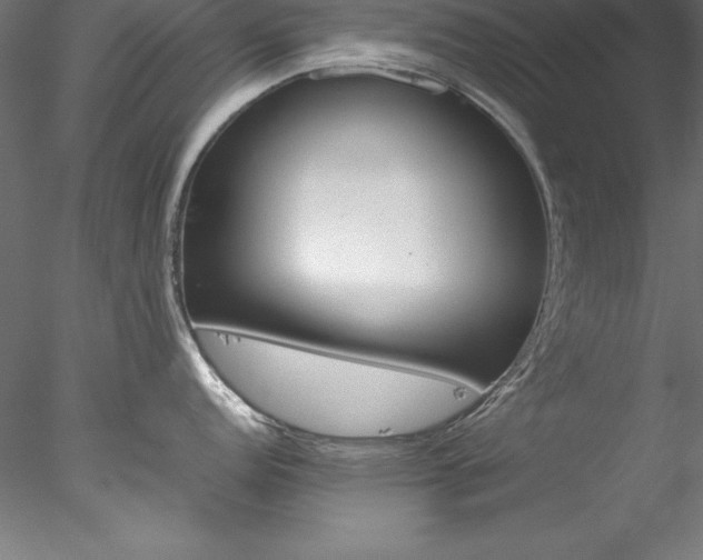 X0000078021152200611031449