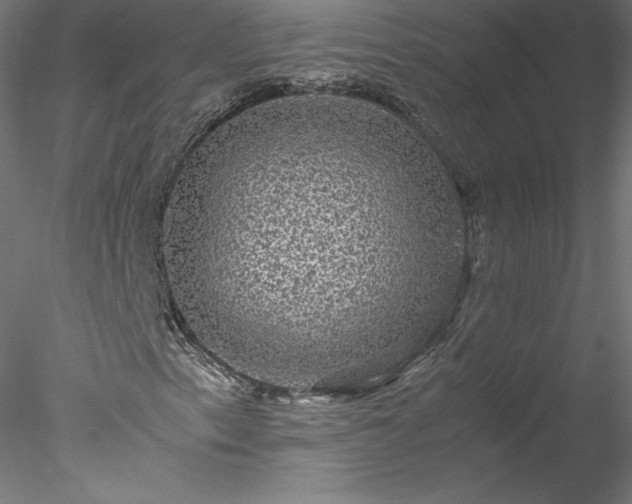 X0000078021153200611031449