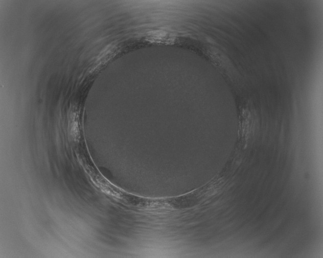 X0000078021154200611031449