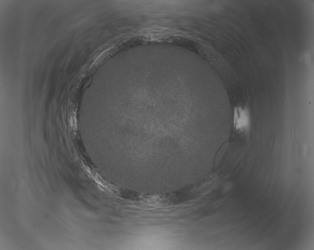 X0000078021155200611031449