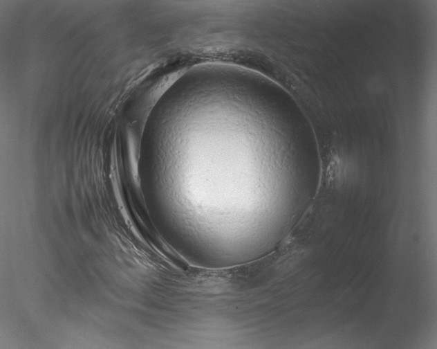 X0000078021156200611031449