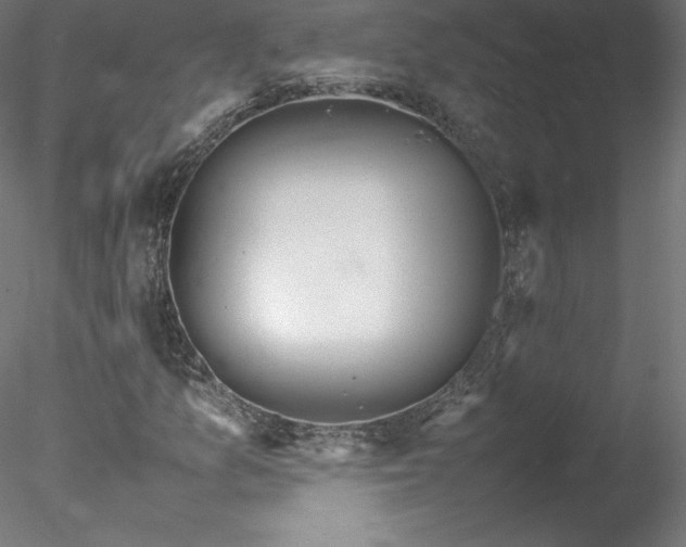 X0000078021157200611031449