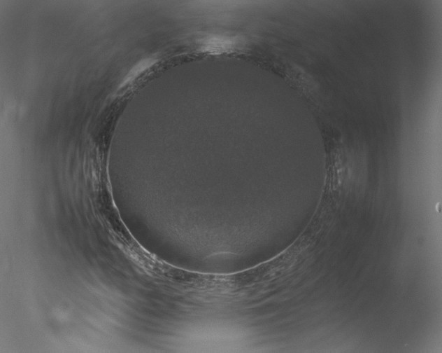 X0000078021158200611031448