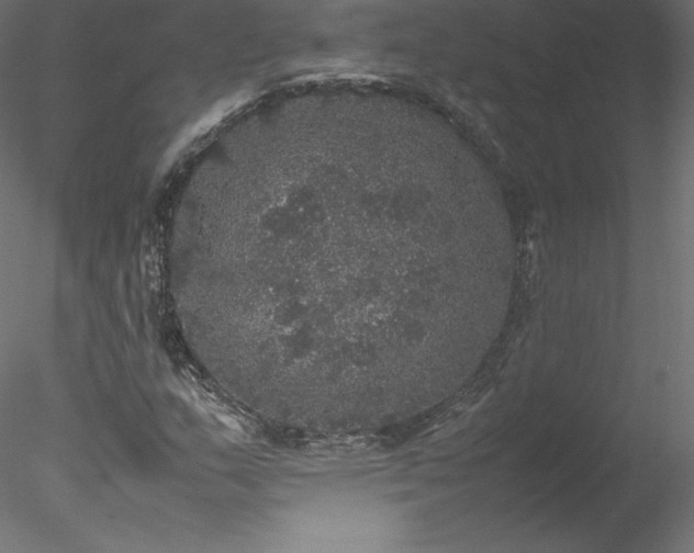 X0000078021159200611031448