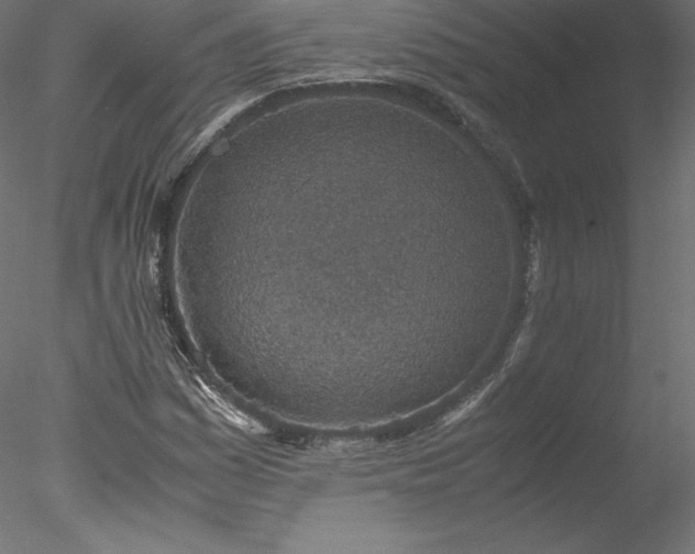 X0000078021161200611031448