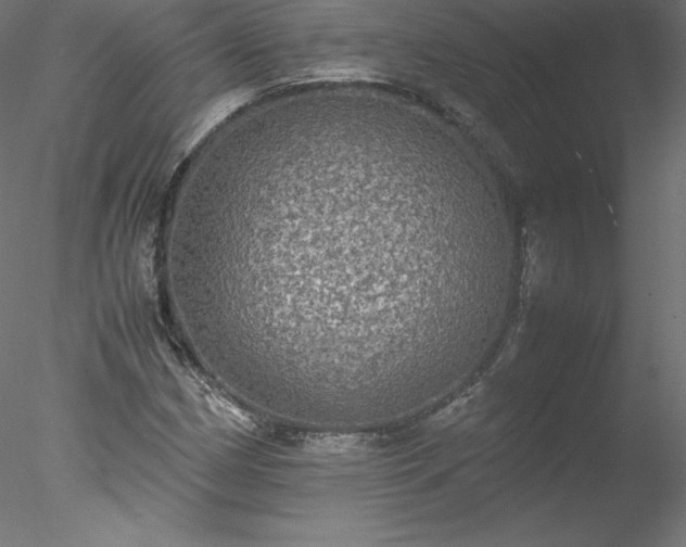 X0000078021162200611031448