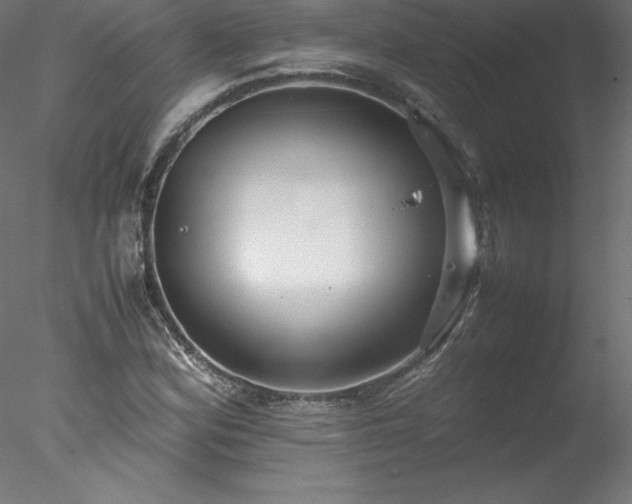 X0000078021164200611031448