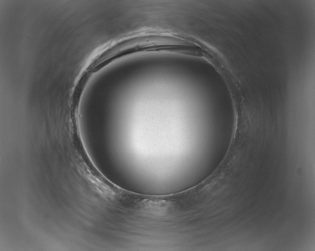 X0000078021168200611031448