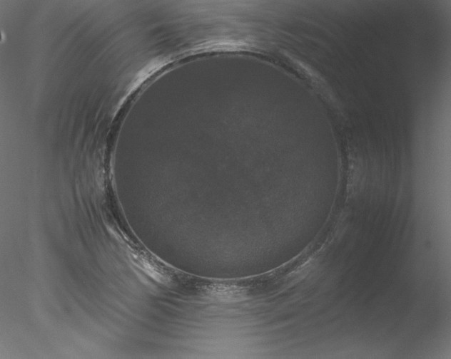 X0000078021170200611031448