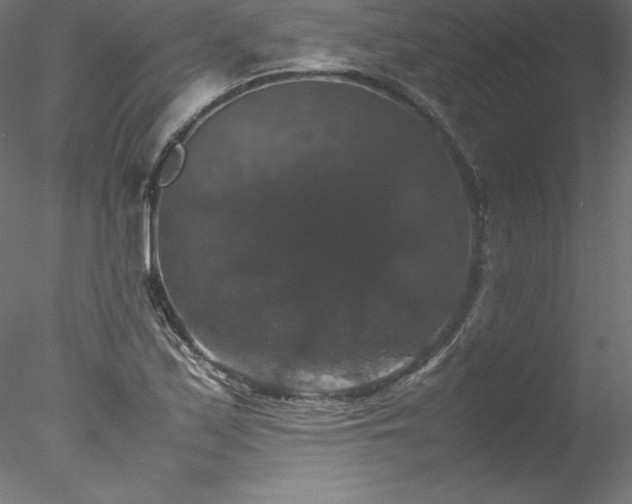 X0000078021171200611031448