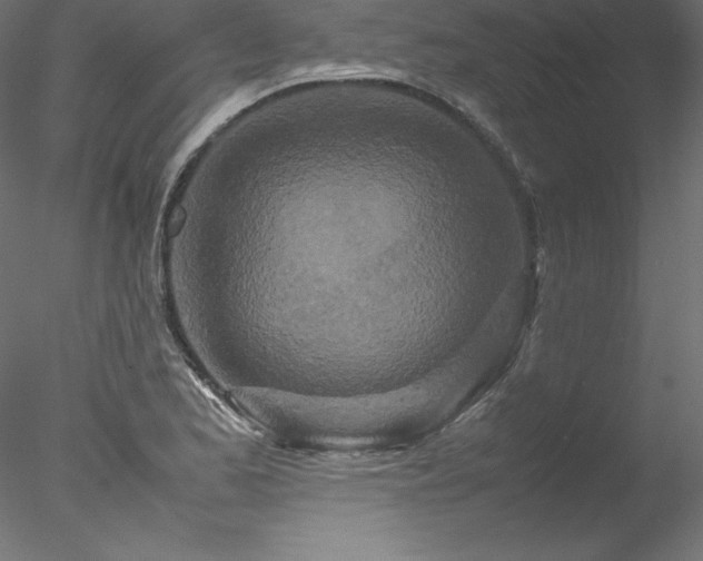 X0000078021173200611031448