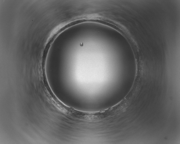 X0000078021176200611031448