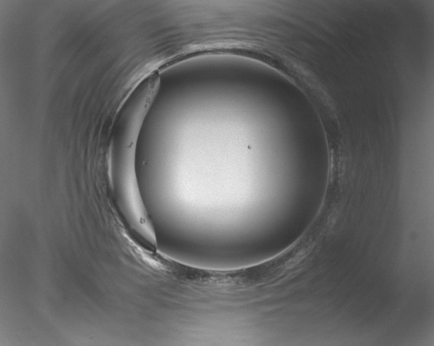 X0000078021177200611031448