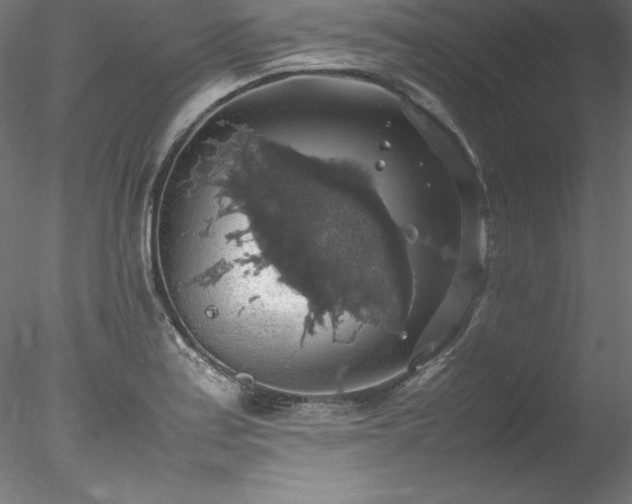 X0000078021179200611031448