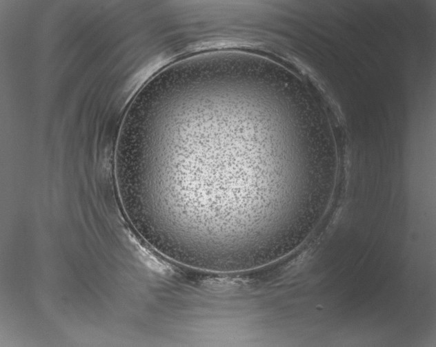 X0000078021185200611031448