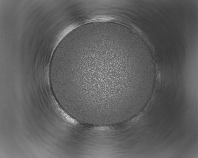 X0000078021186200611031448