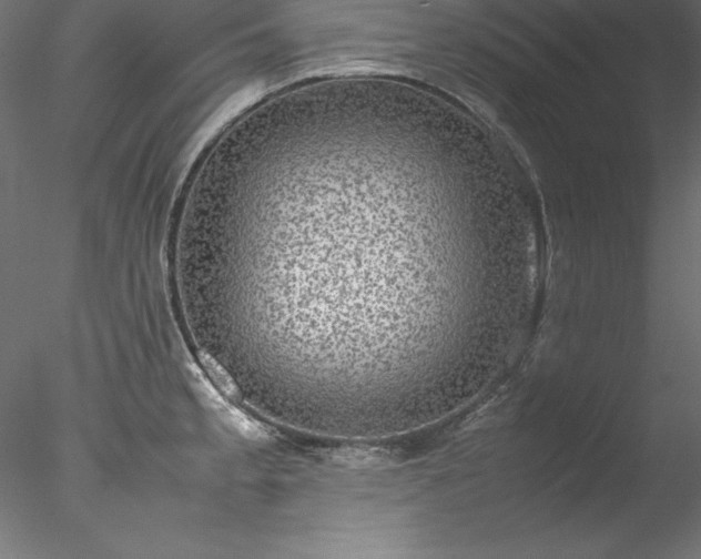 X0000078021189200611031448