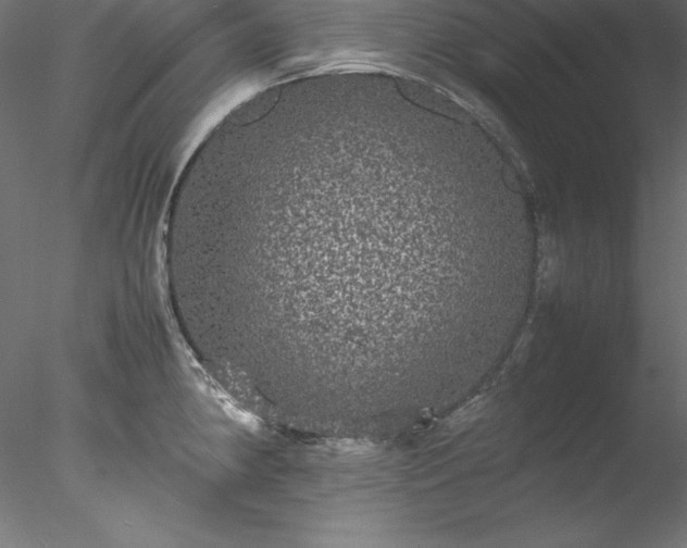 X0000078021190200611031448