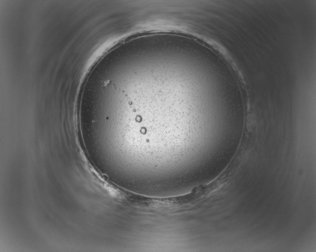 X0000078021191200611031448