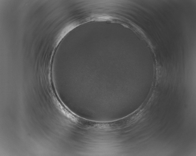 X0000078021194200611031448